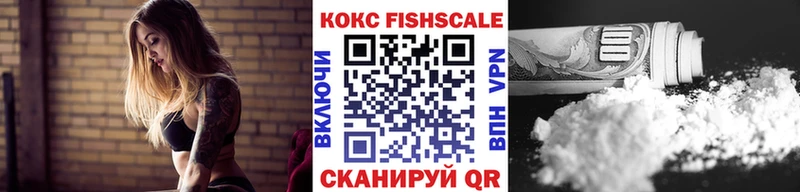 Cocaine FishScale  где купить   Янаул 