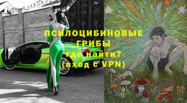 хмурый Среднеколымск